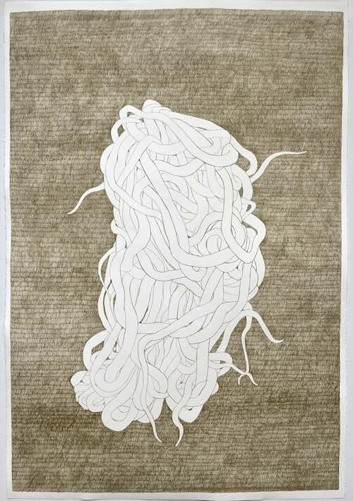 Jillian McDonald, snakes